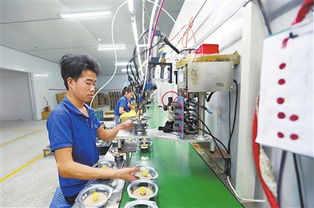 有为，有位——定南县电子信息首位产业发展见闻